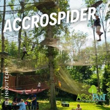Place D'Accrospider
