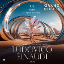 Ludovico Einaudi. Concert hommage