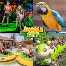 Jungle City