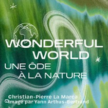 WONDERFUL WORLD