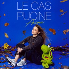 Le cas Pucine