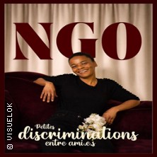 Ngo - Petites Discriminations Entre Ami(e)s