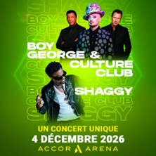 Shaggy